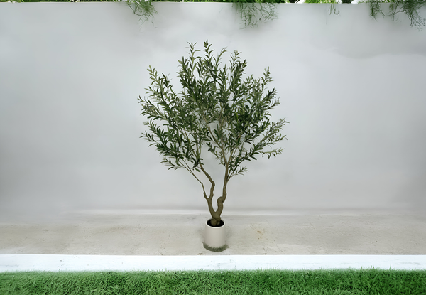 Slim Olive Accent Tree