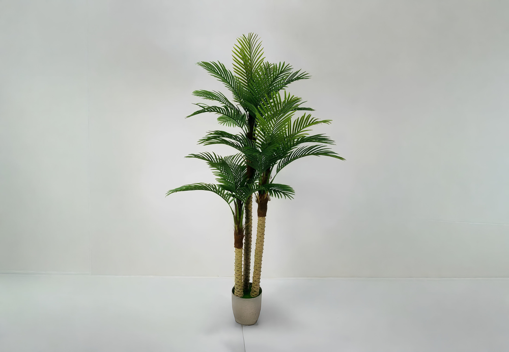 Tropical Palm